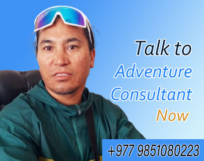 Travel Advisor