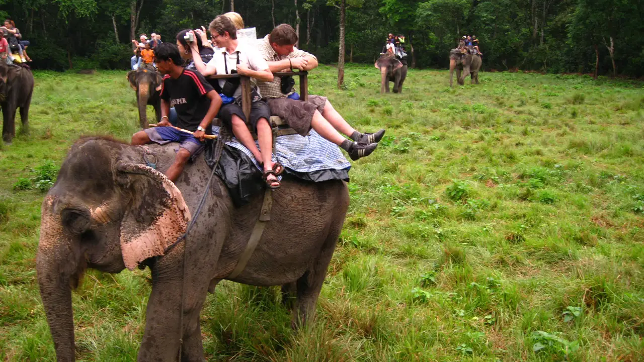 Kathmandu Pokhara Lumbini Chitwan Tour