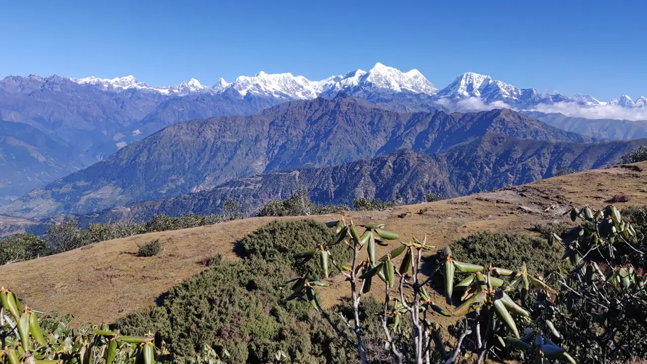 Pikey Peak Trek – 8 Days